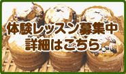 体験レッスン
